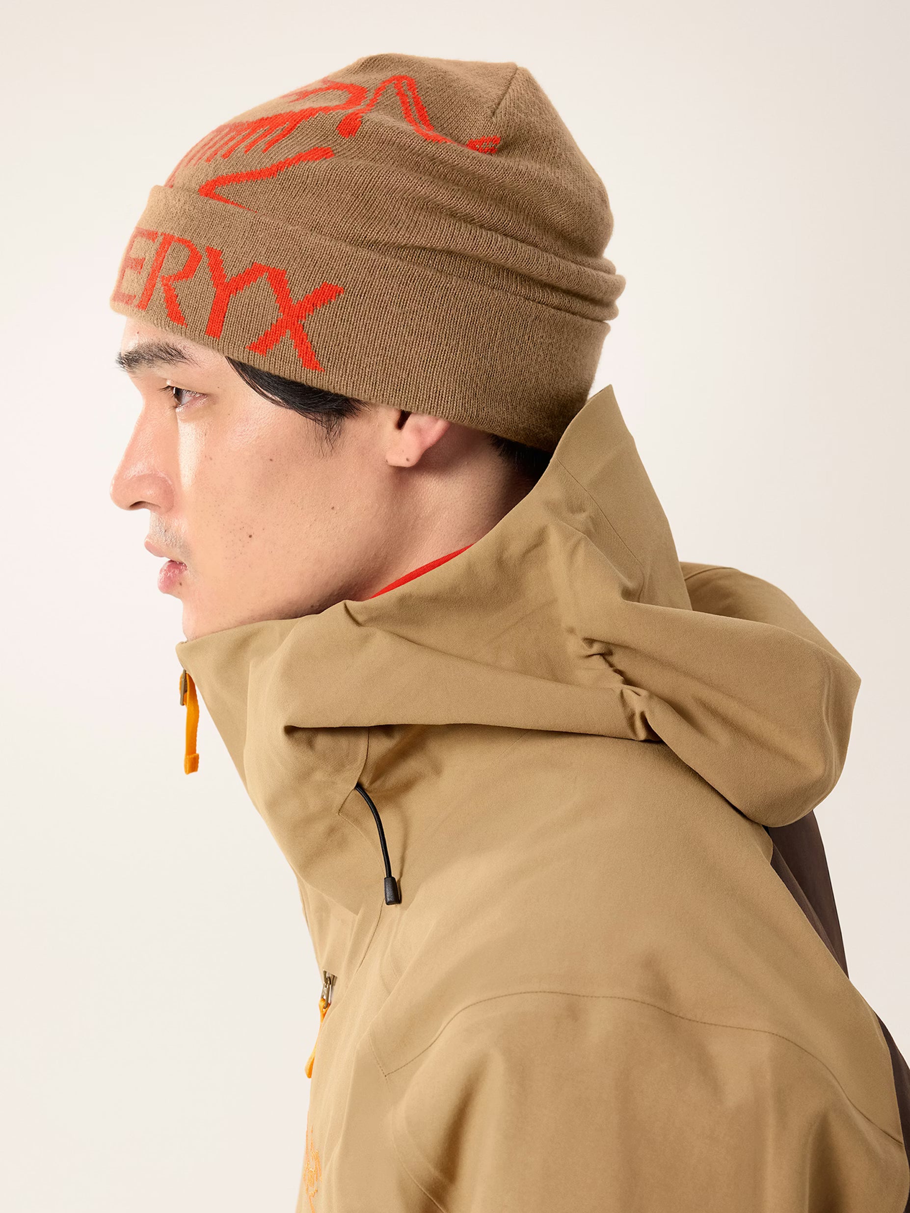 Bird Word Toque Brown