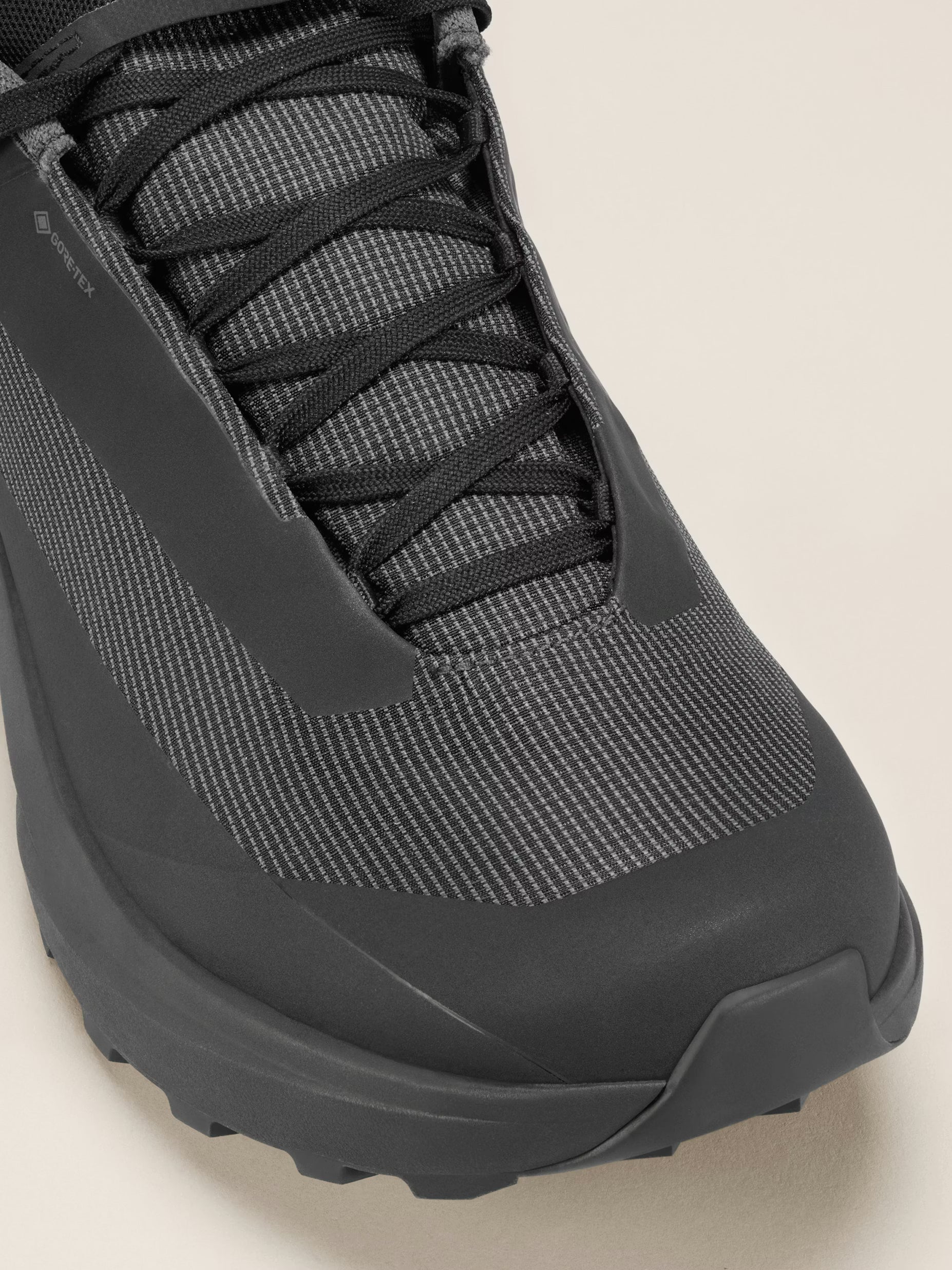 Norvan LD 4 GTX Shoe Men's