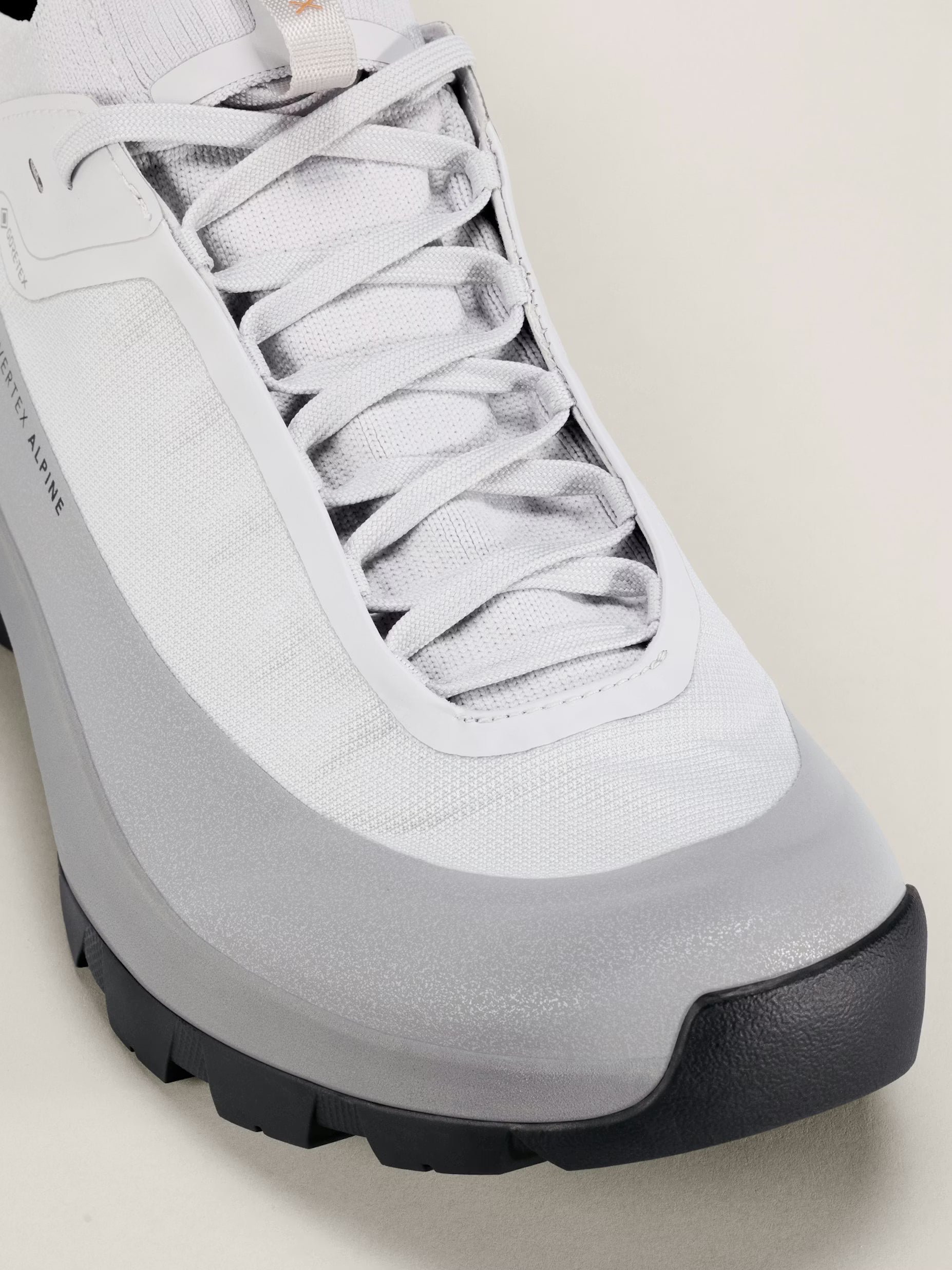 Vertex Alpine GTX Shoe Men's