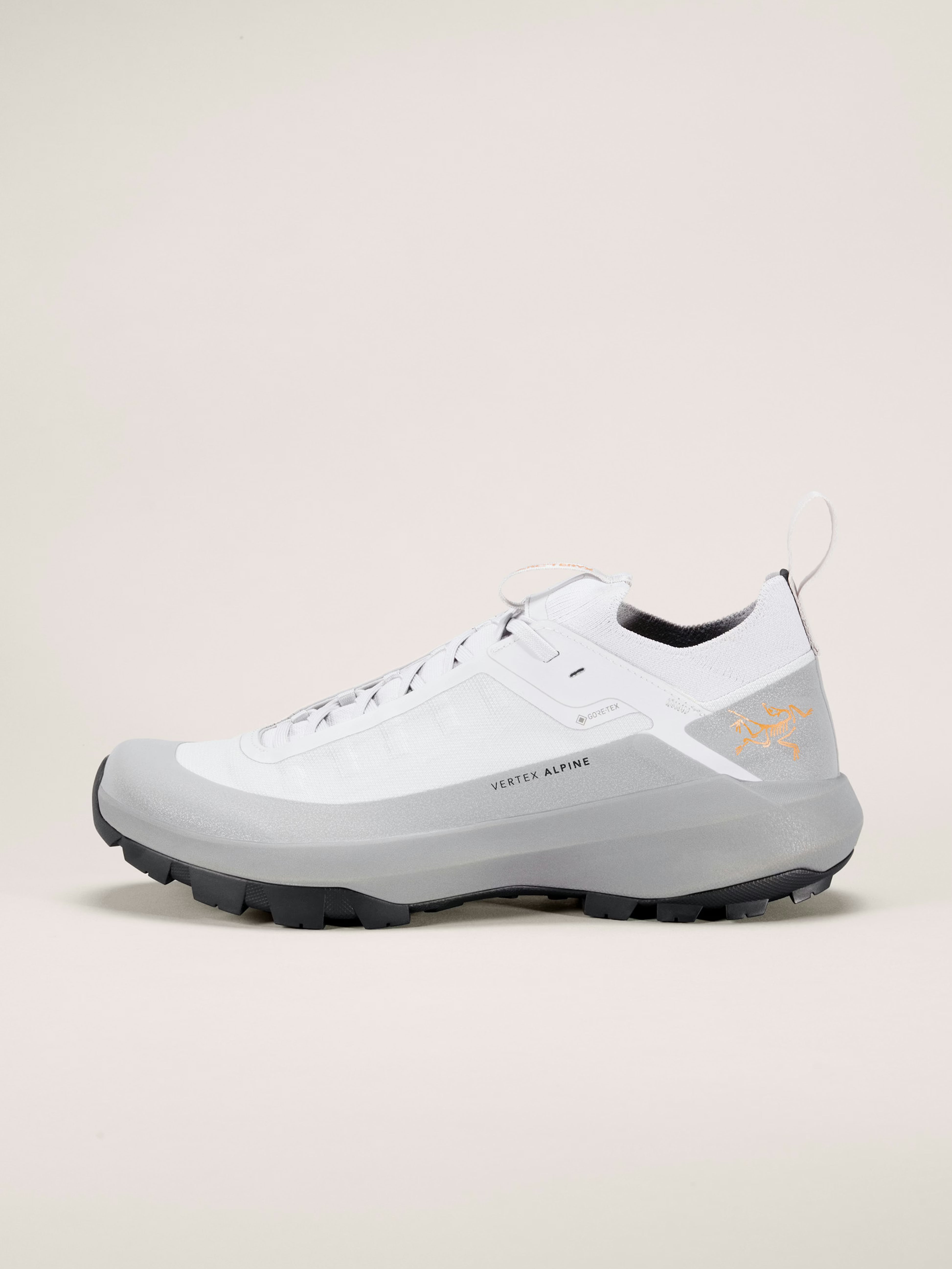 Vertex Alpine GTX Shoe Men's
