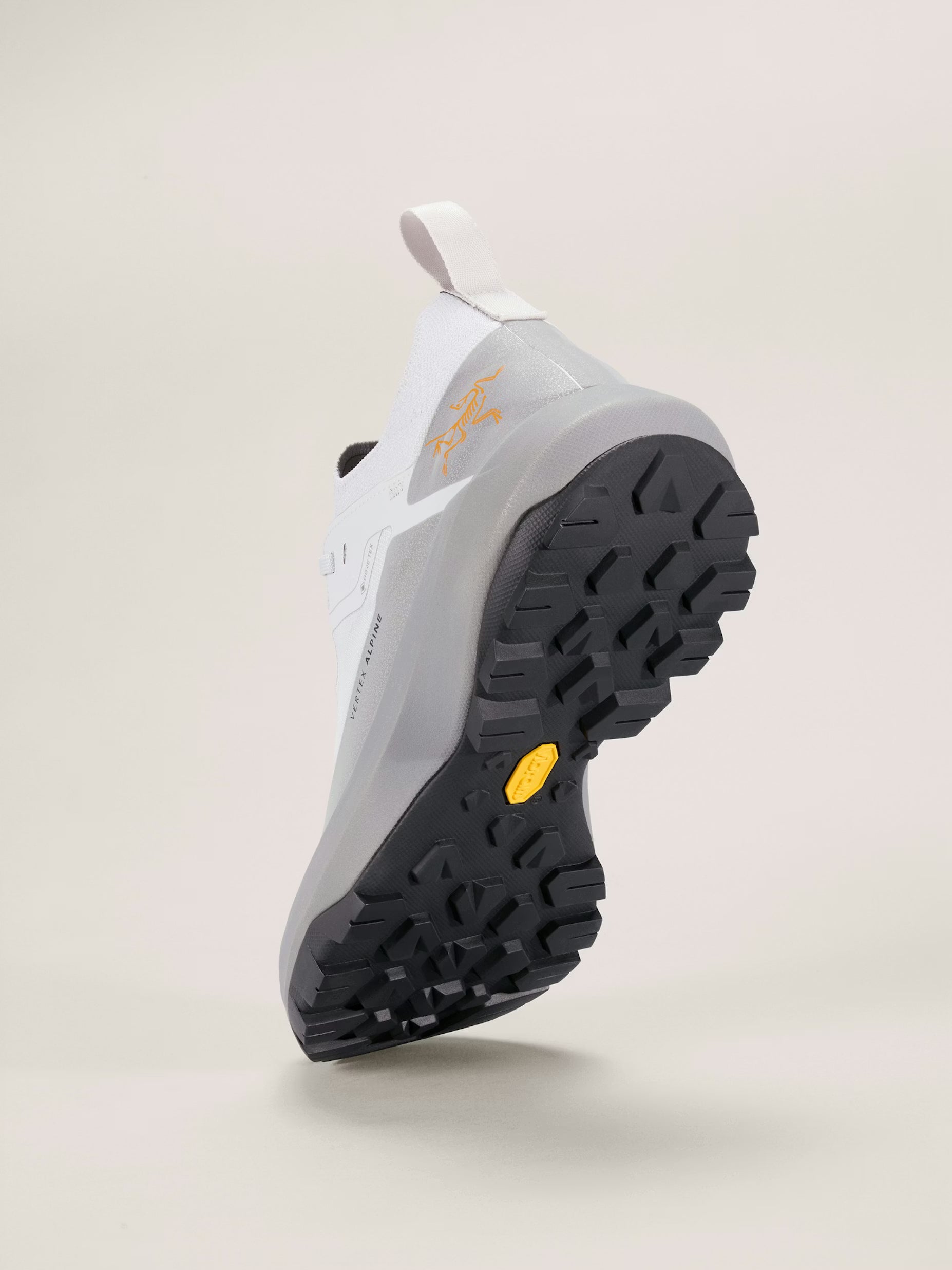 Vertex Alpine GTX Shoe Men's